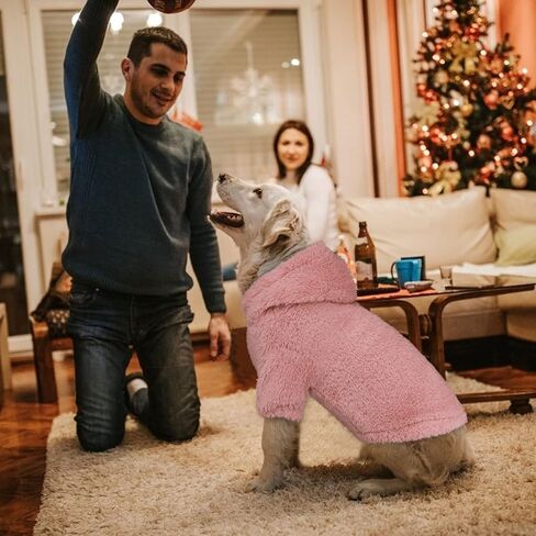 سترة بغطاء للرأس للكلاب من Fuzzy Dog، ملابس للكلاب، معاطف دافئة وناعمة للكلاب، سويت شيرت بقلنسوة من الصوف للكلاب الكبيرة، سترات للكلاب الكبيرة جدًا (رمادي-XL) in Kuwait