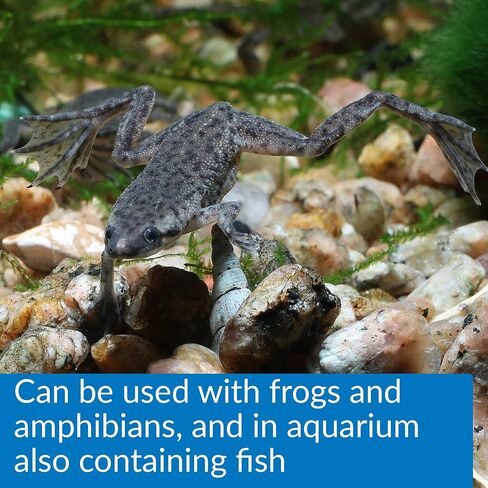 API Turtle Products: Sludge Remover to Clean Aquarium, Water Conditioner to Make Tap Water Safe for Turtles, TURTLEFIX Reme - 2 Pack in Saudi Arabia