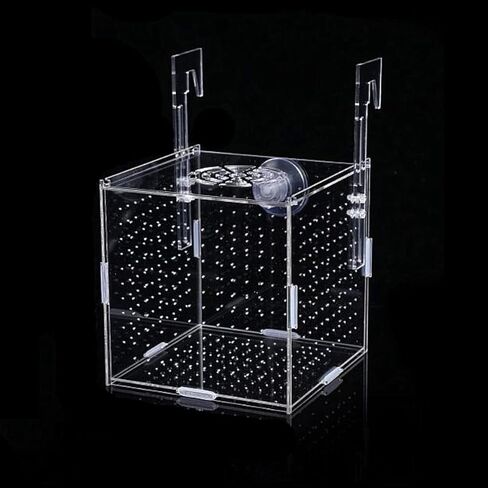 صندوق تربية الأسماك الأكريليك، صندوق عزل تربية حوض السمك، صندوق تربية الأسماك الشفاف لخزان الأسماك، حاضنة التفريخ لأسماك الروبيان جوبي كلوونفيش الصغيرة (3.9 * 3.9 * 3.9 بوصة) in Kuwait