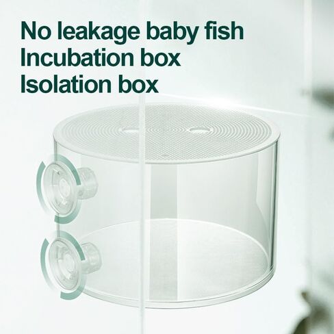 Fish Breeding Box, Fish Cultivating Container Acrylic Fish Isolator with Suction Cups, Aquarium Clown Fish and Guppy Fish Trained Acrylic Incubator (Medium)… in Saudi Arabia