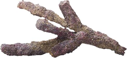 صخرة الحياة من كاريبسي، 20 باوند in Kuwait