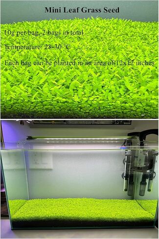 عبوة من قطعتين من اوراق الاعشاب الصغيرة لحوض السمك in Kuwait