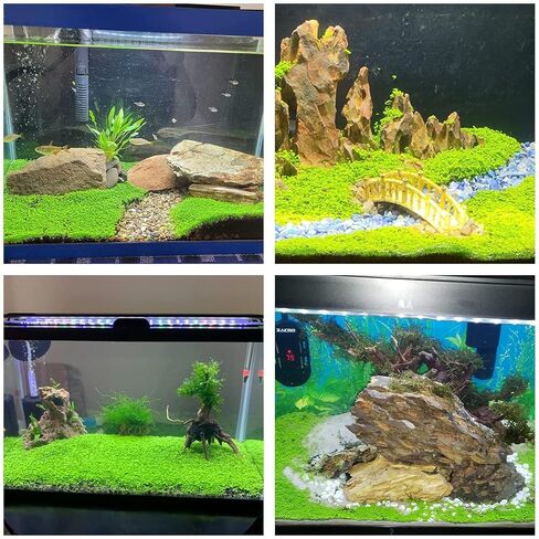 عبوة من قطعتين من اوراق الاعشاب الصغيرة لحوض السمك in Kuwait