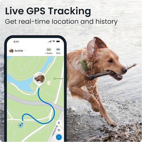 Tractive XL GPS Tracker ومراقبة الصحة للكلاب (50 رطلاً +) - جهاز تعقب موقع GPS للحيوانات الأليفة الرائد في السوق | تنبيهات العافية والهروب | مقاوم للماء | يعمل مع أي طوق (إصدار المغامرة) in Kuwait