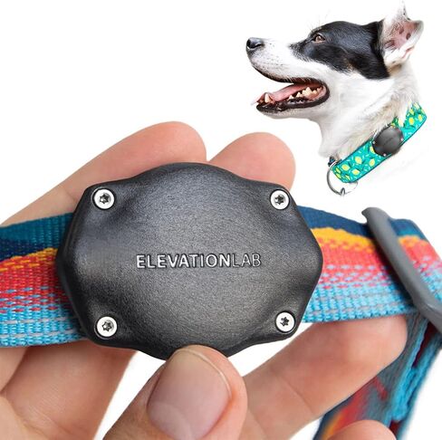 Elevation Lab AirTag Dog Collar Holder - Waterproof | Secure, Durable, Fits Any Collar Width, Doesn't Dangle, Comfortable in Kuwait