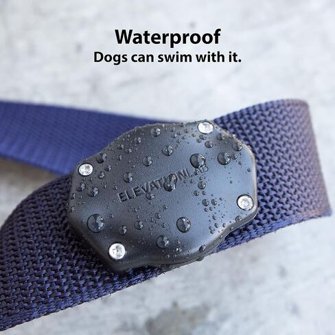 Elevation Lab AirTag Dog Collar Holder - Waterproof | Secure, Durable, Fits Any Collar Width, Doesn't Dangle, Comfortable in Kuwait