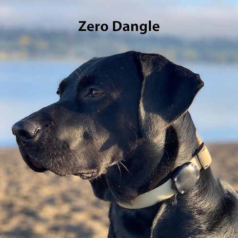 Elevation Lab AirTag Dog Collar Holder - Waterproof | Secure, Durable, Fits Any Collar Width, Doesn't Dangle, Comfortable in Kuwait