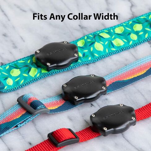 Elevation Lab AirTag Dog Collar Holder - Waterproof | Secure, Durable, Fits Any Collar Width, Doesn't Dangle, Comfortable in Kuwait