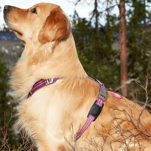 Case-Mate 1 Pack AirTag Dog Collar Holder/Case - Black in Kuwait