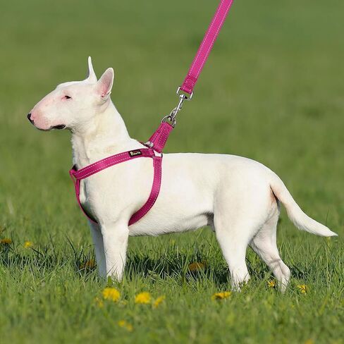 Plutus Pet Step in Dog Harness, Reflective, Adjustable, and Secure with Metal Buckles, Easy Walk Dog Harness for Puppy, Small, Medium and Large Dogs, Purple, M in Saudi Arabia