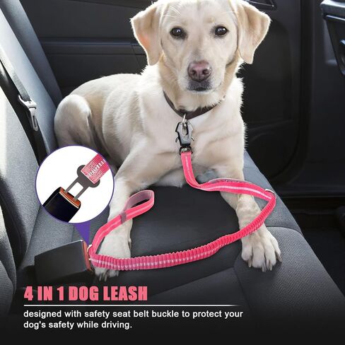 Raipult Tactical Shock Absorbing Bungee Dog Leash Heavy Duty, 4-6ft, Black in Saudi Arabia