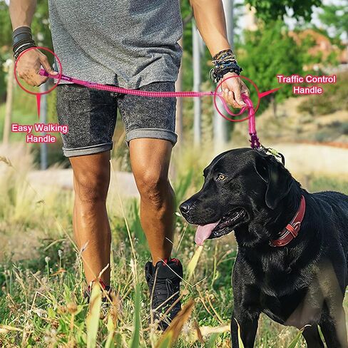 Raipult Tactical Shock Absorbing Bungee Dog Leash Heavy Duty, 4-6ft, Black in Saudi Arabia