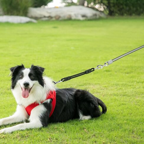 مقود الكلاب القابل للسحب بطول 26 قدمًا، مقود الكلاب شديد التحمل للكلاب التي يصل وزنها إلى 110 رطل، شريط نايلون قوي لا يتشابك، مكابح بيد واحدة، مثالي للكبح في حالات الطوارئ بمجرد اندفاع الكلب بقوة in Kuwait