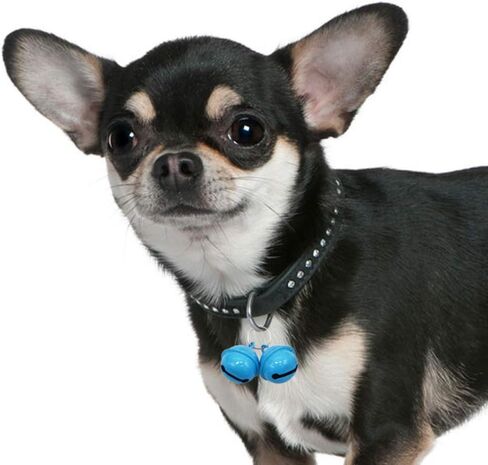 طوق باريوجوو 20 قطعة من أجراس الحيوانات الأليفة الملونة للقطط الكبيرة 2 سم جرس قوي عالي الصوت لتدريب الكلاب على استخدام المرحاض in Kuwait