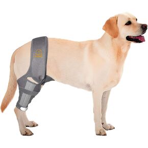 Dog Knee Brace for Cruciate Ligament Injury Joint Pain Muscle Soreness. Adjustable Dog Leg Brace, Dog Support Brace,Dog Hind Leg Support.(Black S) in Saudi Arabia