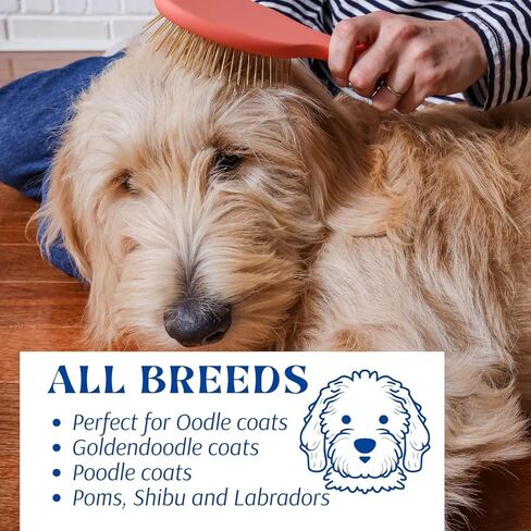 فرشاة OodleLife Pet Grooming Detangler Pin للكلاب لتساقط وإزالة الفراء السائب، خشب ممتاز خفيف الوزن مع دبابيس مطلية بالذهب للشعر الطويل (فرشاة دبوس للكلاب) in Kuwait