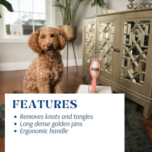 فرشاة OodleLife Pet Grooming Detangler Pin للكلاب لتساقط وإزالة الفراء السائب، خشب ممتاز خفيف الوزن مع دبابيس مطلية بالذهب للشعر الطويل (فرشاة دبوس للكلاب) in Kuwait