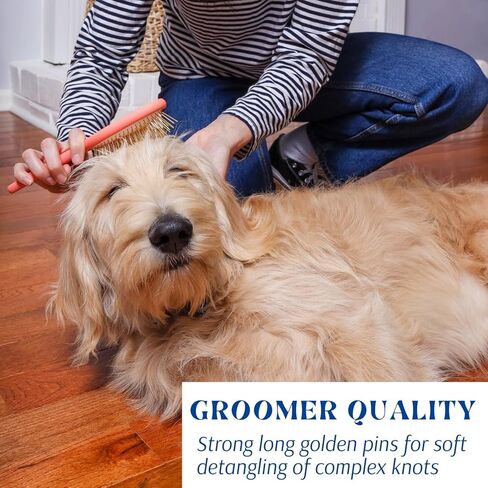 فرشاة OodleLife Pet Grooming Detangler Pin للكلاب لتساقط وإزالة الفراء السائب، خشب ممتاز خفيف الوزن مع دبابيس مطلية بالذهب للشعر الطويل (فرشاة دبوس للكلاب) in Kuwait