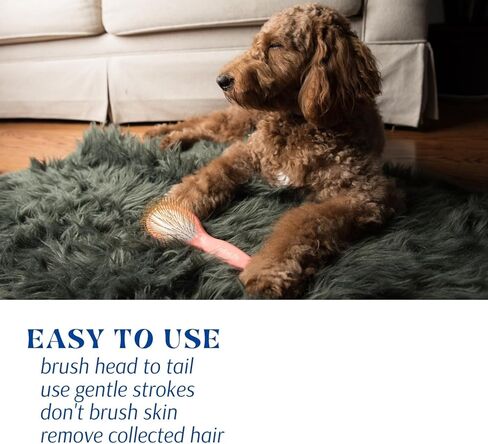 فرشاة OodleLife Pet Grooming Detangler Pin للكلاب لتساقط وإزالة الفراء السائب، خشب ممتاز خفيف الوزن مع دبابيس مطلية بالذهب للشعر الطويل (فرشاة دبوس للكلاب) in Kuwait