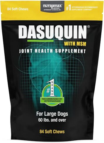 Nutramax Dasuquin MSM Joint Supplement for Large Dogs, Soft Chews, 150ct in Saudi Arabia