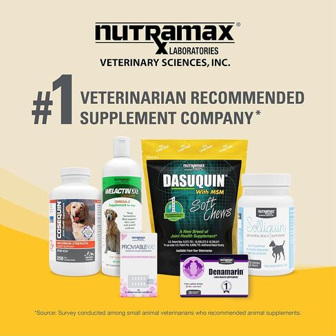 Nutramax Dasuquin MSM Joint Supplement for Large Dogs, Soft Chews, 150ct in Saudi Arabia