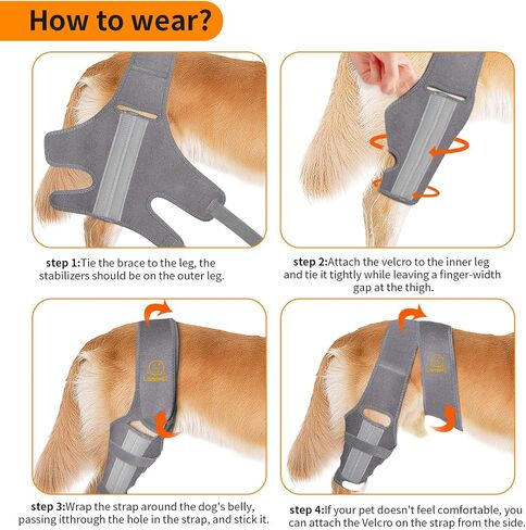 Dog Knee Brace for Cruciate Ligament Injury Joint Pain Muscle Soreness. Adjustable Dog Leg Brace, Dog Support Brace,Dog Hind Leg Support.(Black S) in Saudi Arabia