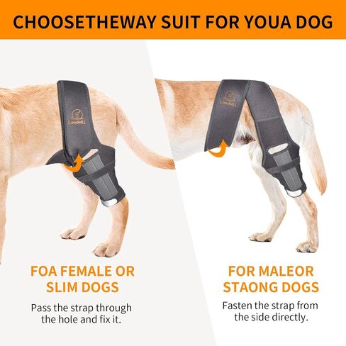 Dog Knee Brace for Cruciate Ligament Injury Joint Pain Muscle Soreness. Adjustable Dog Leg Brace, Dog Support Brace,Dog Hind Leg Support.(Black S) in Saudi Arabia