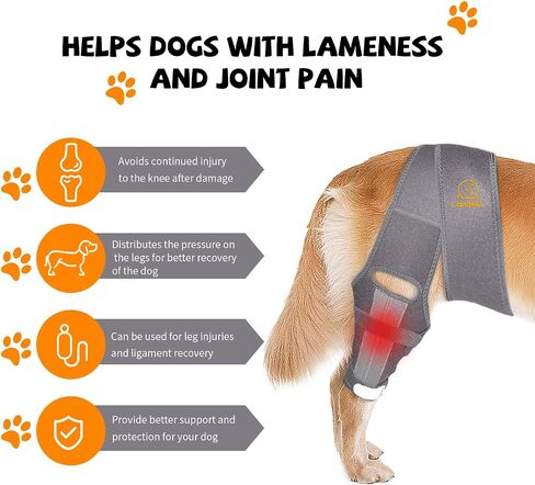 Dog Knee Brace for Cruciate Ligament Injury Joint Pain Muscle Soreness. Adjustable Dog Leg Brace, Dog Support Brace,Dog Hind Leg Support.(Black S) in Saudi Arabia