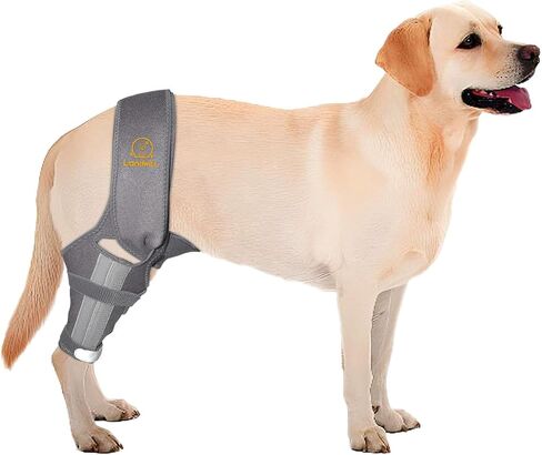 Dog Knee Brace for Cruciate Ligament Injury Joint Pain Muscle Soreness. Adjustable Dog Leg Brace, Dog Support Brace,Dog Hind Leg Support.(Black S) in Saudi Arabia