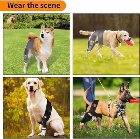 Dog Knee Brace for Cruciate Ligament Injury Joint Pain Muscle Soreness. Adjustable Dog Leg Brace, Dog Support Brace,Dog Hind Leg Support.(Black S) in Saudi Arabia