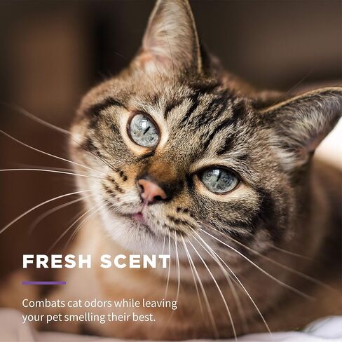 Wet Ones for Cats Freshening Wipes with Aloe Vera, Fresh Scent, 50 Count in Kuwait