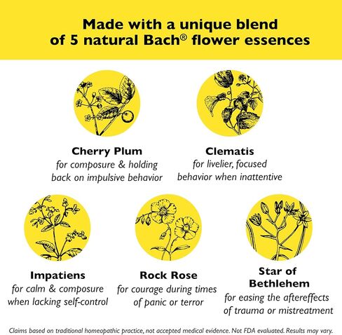 Bach Rescue in Kuwait