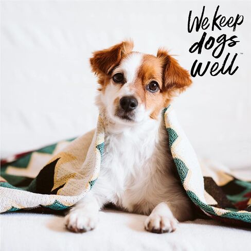 Remedy+Recovery Liquid Bandage for Dogs and Sulfodene Dog Wound Care Ointment, Relieves Pain & Prevents Infection For Dog Cuts, Scrapes, Bites and Injuries, 2 Ounce in Kuwait