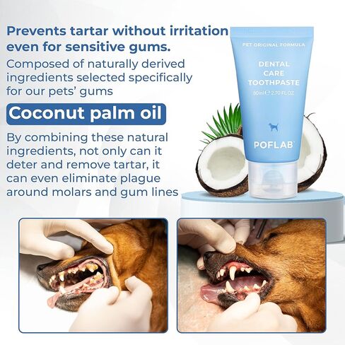 معجون أسنان للعناية بأسنان الحيوانات الأليفة من POFLAB - معجون أسنان طبيعي لصحة الفم للكلاب - يزيل البلاك وتراكم الجير - معجون أسنان القطط الآمن على المينا - يزيل رائحة الفم الكريهة in Kuwait