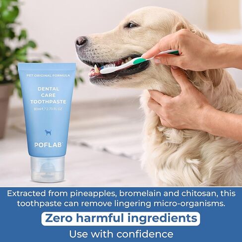 معجون أسنان للعناية بأسنان الحيوانات الأليفة من POFLAB - معجون أسنان طبيعي لصحة الفم للكلاب - يزيل البلاك وتراكم الجير - معجون أسنان القطط الآمن على المينا - يزيل رائحة الفم الكريهة in Kuwait