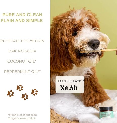 معجون اسنان طبيعي للكلاب بالنعناع من بلاك شيب اورجانيكس - مكون بسيط مع زيت جوز الهند من الدرجة البشرية للكلاب - منعش رائحة الفم الكريهة ويحافظ على نظافة الاسنان والتحكم في البلاك ويقلل الجير in Kuwait