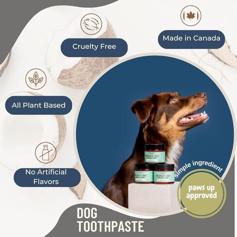 معجون اسنان طبيعي للكلاب بالنعناع من بلاك شيب اورجانيكس - مكون بسيط مع زيت جوز الهند من الدرجة البشرية للكلاب - منعش رائحة الفم الكريهة ويحافظ على نظافة الاسنان والتحكم في البلاك ويقلل الجير in Kuwait