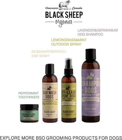 معجون اسنان طبيعي للكلاب بالنعناع من بلاك شيب اورجانيكس - مكون بسيط مع زيت جوز الهند من الدرجة البشرية للكلاب - منعش رائحة الفم الكريهة ويحافظ على نظافة الاسنان والتحكم في البلاك ويقلل الجير in Kuwait