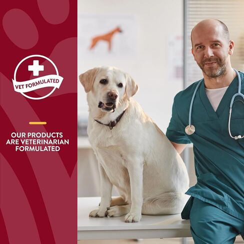 NaturVet – Cranberry Relief Plus Echinacea – Helps Support a Healthy Urinary Tract & Immune System for Dogs & Cats in Kuwait