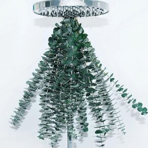 8 قطع من حزم الاوكالبتوس المجففة للاستحمام - 17 انش سيقان الاوكالبتوس الحقيقية، فروع الاوكالبتوس الطازجة المعلقة، ترتيب الزهور الاصطناعية، ديكور مزهرية الزفاف والمنزل والمنتجعات الصحية in Kuwait