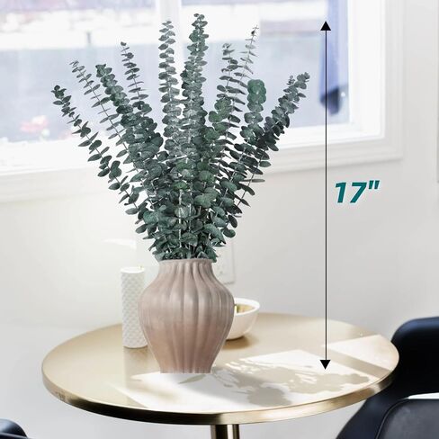 8 قطع من حزم الاوكالبتوس المجففة للاستحمام - 17 انش سيقان الاوكالبتوس الحقيقية، فروع الاوكالبتوس الطازجة المعلقة، ترتيب الزهور الاصطناعية، ديكور مزهرية الزفاف والمنزل والمنتجعات الصحية in Kuwait