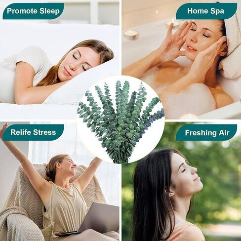 8 قطع من حزم الاوكالبتوس المجففة للاستحمام - 17 انش سيقان الاوكالبتوس الحقيقية، فروع الاوكالبتوس الطازجة المعلقة، ترتيب الزهور الاصطناعية، ديكور مزهرية الزفاف والمنزل والمنتجعات الصحية in Kuwait