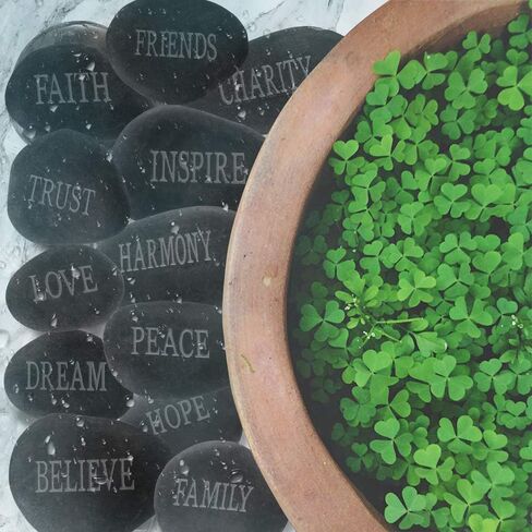 12pcs DIY Rocks for Engraved Inspirational Polished River Stones Unique and Thoughtful Gift Ideas for Friends and Family Gifts Arts and Crafts (12 Different Words) (Black) in Saudi Arabia