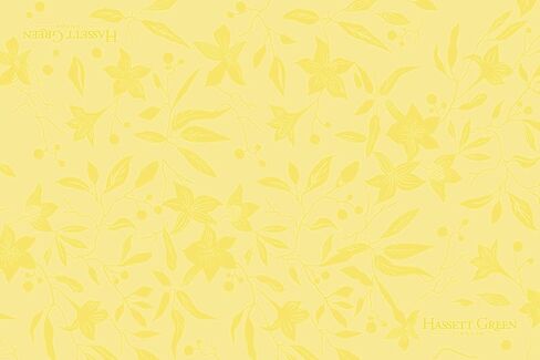 بطانات الأدراج المعطرة من هاسيت جرين لندن - عطر زهر العسل والياسمين - عبوة واحدة مكونة من 6 ورقات مقاس 23.6 × 15.75 بوصة in Kuwait