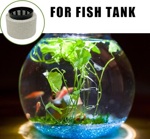 مجموعة حلقات ثابتة للنباتات المائية، 15 قطعة، وعاء اوزان نباتات حوض السمك، حلقات نباتات سيراميك مضادة للطفو لملحقات حوض السمك in Kuwait