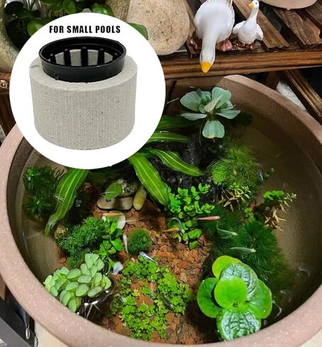 مجموعة حلقات ثابتة للنباتات المائية، 15 قطعة، وعاء اوزان نباتات حوض السمك، حلقات نباتات سيراميك مضادة للطفو لملحقات حوض السمك in Kuwait