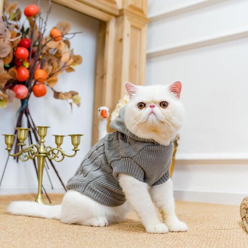 PUPTECK Winter Dog Cat Sweater Coat - Soft Cold Weather Clothes Knitwear for Kitties & Small Dogs Indoor Outdoor Walking Warm, Knitted Classic for Doggies Kitties Girls Boys, Black S in Saudi Arabia