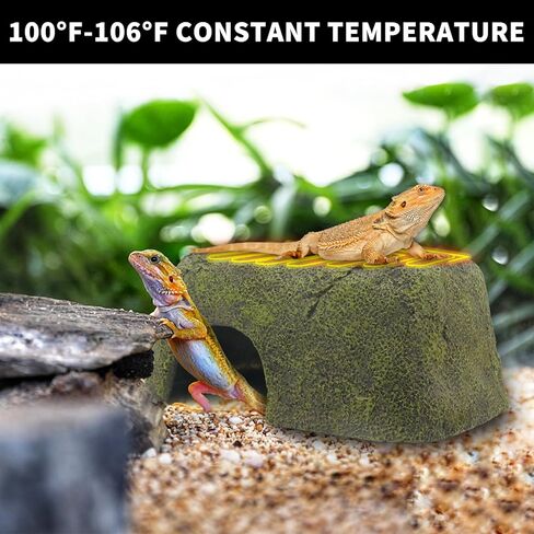 فودور الزواحف الحرارة الصخور إخفاء الكهف مخابئ الزواحف التي تسيطر عليها ثرموستاتي كهف حوض السمك ديكور الصخور سخان للسحالي والسلاحف والثعابين والزواحف والبرمائيات in Kuwait