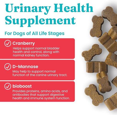 Solid Gold Cranberry Supplement for Dogs & Cats for Urinary Tract Health - Berry Balance Chews UTI + Bladder + Kidney Support for Cats and Dogs with Antioxidants in Kuwait