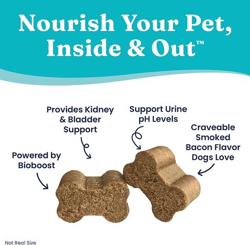 Solid Gold Cranberry Supplement for Dogs & Cats for Urinary Tract Health - Berry Balance Chews UTI + Bladder + Kidney Support for Cats and Dogs with Antioxidants in Kuwait
